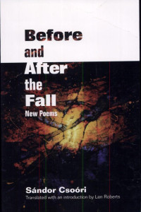 Cover of Before and After the Fall: New Poems