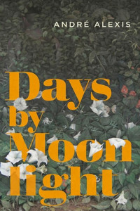 Cover of Days by Moonlight