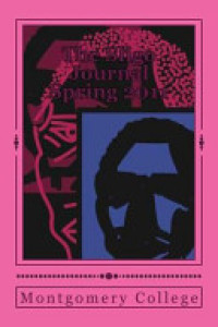 Cover of The Sligo Journal: Spring 2011