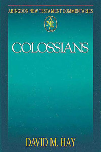 Cover of Abingdon New Testament Commentaries: Colossians