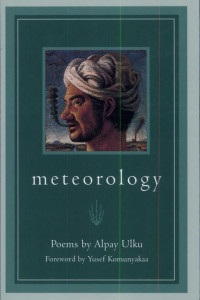 Cover of Meteorology: Poems