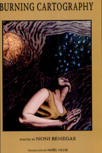 Cover of Burning Cartography