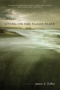Cover of Living on the Flood Plain