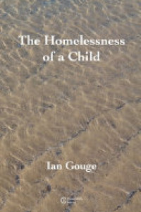 Cover of The Homelessness of a Child