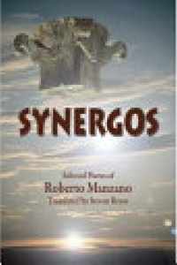 Cover of Synergos