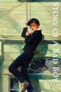 Cover of The Story of a Bad Boy