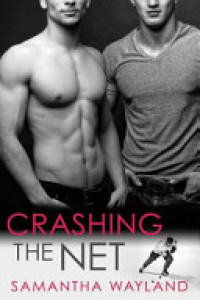 Cover of Crashing the Net