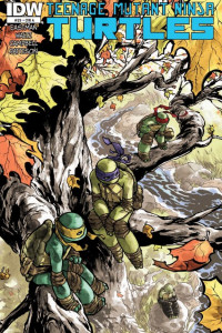 Cover of Teenage Mutant Ninja Turtles #29