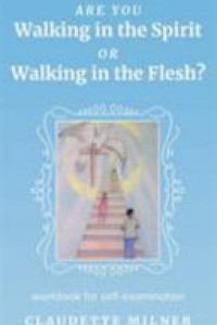 Cover of Are You Walking in the Spirit Or Walking in the Flesh?: A Workbook for Self-examination