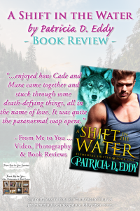 A SHIFT IN THE WATER by Patricia D. Eddy [ #BookReview ] -- 4 out of 5 stars