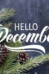 Book Luver's December Book Offers Newsletter