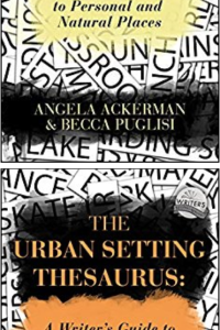 The Rural and Urban Settings Thesaurus