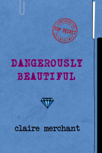 Book cover DB blue folder paper clip top secret diamond