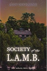 Society of the L.A.M.B. House on a bluff with northern lights in the sky