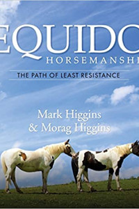 Horses in a field