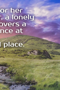 A lonely widow's search for her dream lover leads her to Ireland and a second chance for love