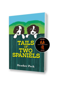 Two spaniel puppies peer over the top of a garden gate.