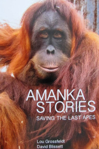 Amanka Stories
