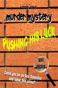 A brick wall with the title as graffiti with running paintwork. Also a magnifying glass.