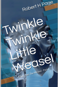 Twinkle Twinkle Little Weasel by Robert H Page - Genre Crime Thriller. Book 2 of a trilogy.