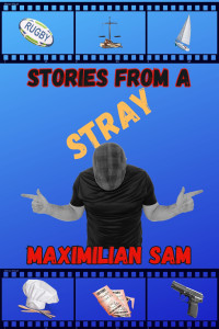Cover of Stories From A Stray