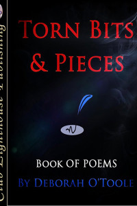 TORN BITS & PIECES by Deborah O'Toole