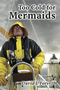 Author at the helm in heavy weather.