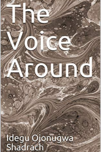 The Voice Around 
