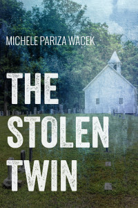 The Stolen Twin cover