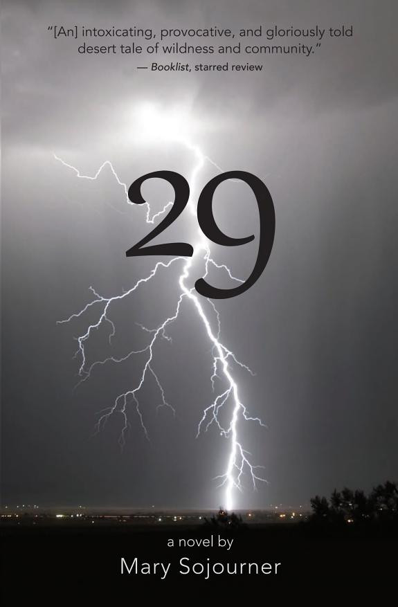 Cover of 29