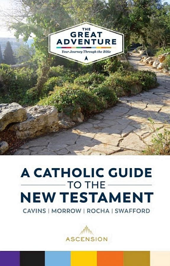 Cover of A Catholic Guide to the New Testament