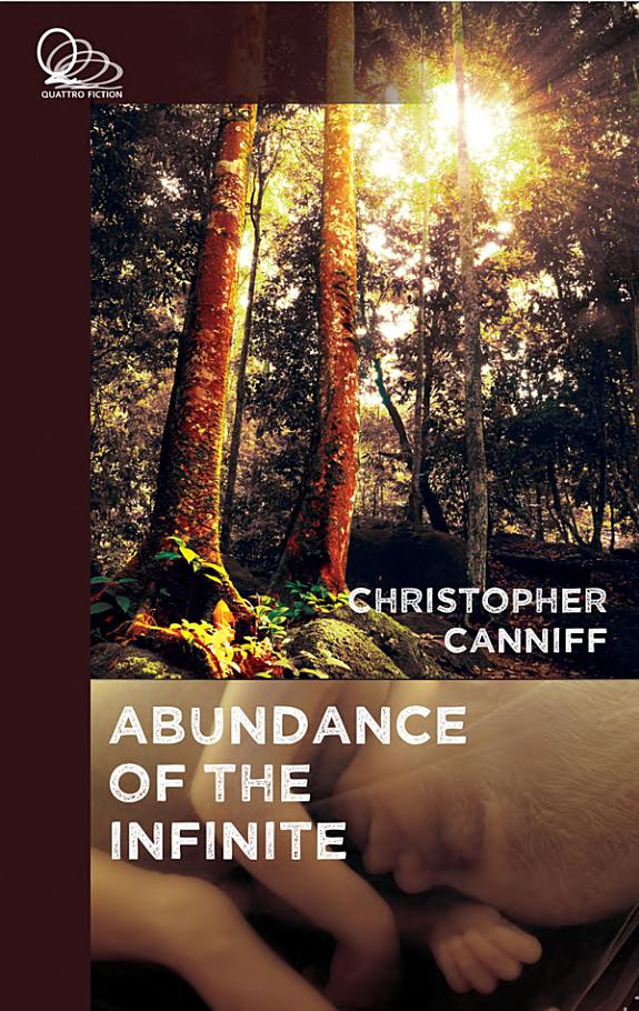 Cover of Abundance of the Infinite