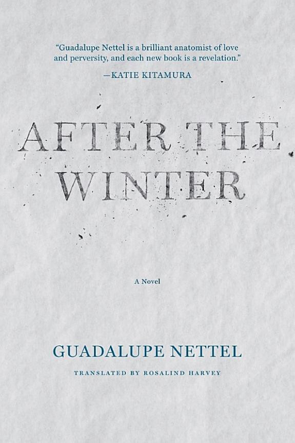 Cover of After the Winter