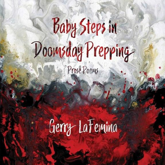 Cover of Baby Steps in Doomsday Prepping