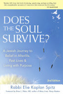 Cover of Does the Soul Survive? 2nd Edition