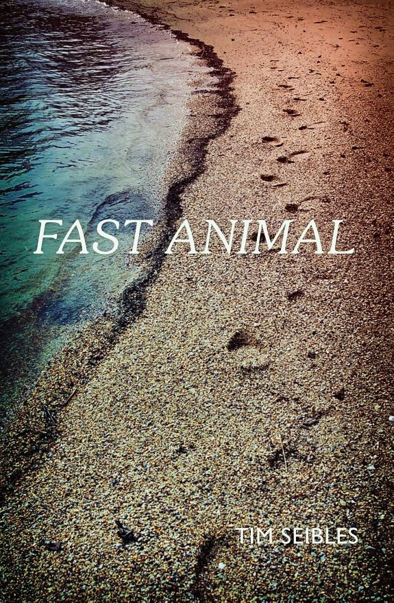 Cover of Fast Animal