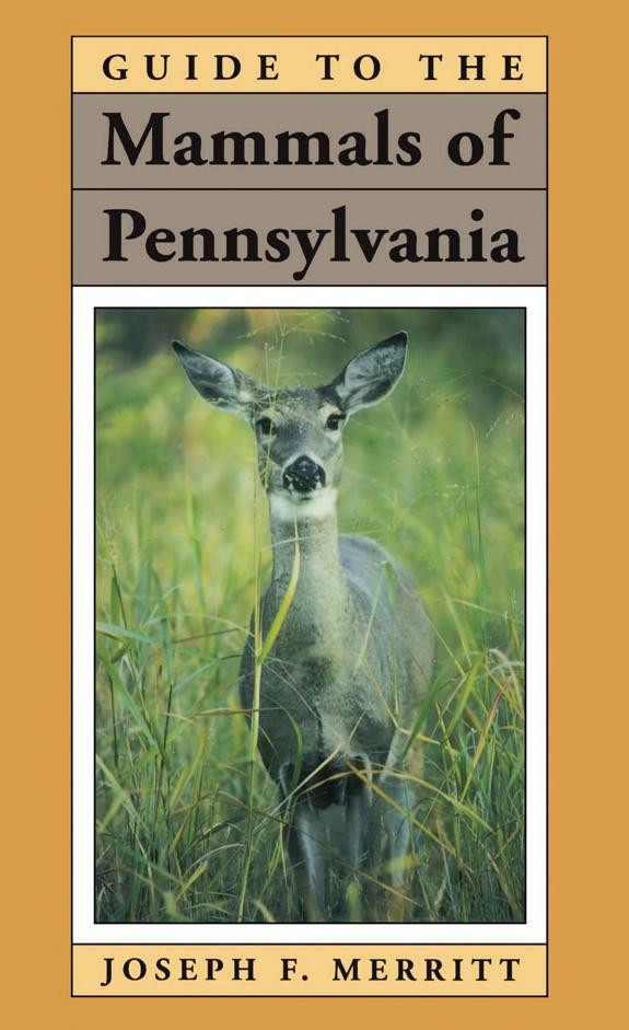 Cover of Guide to the Mammals of Pennsylvania