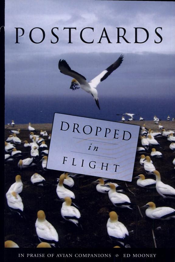 Cover of Postcards Dropped in Flight