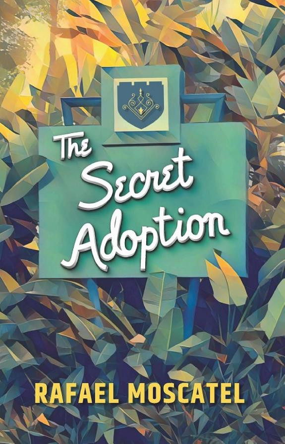 Cover of The Secret Adoption