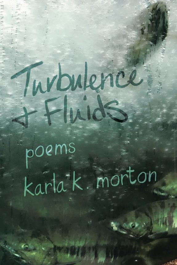 Cover of Turbulence & Fluids