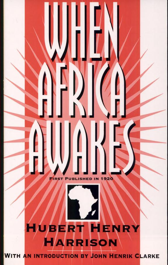 Cover of When Africa Awakes