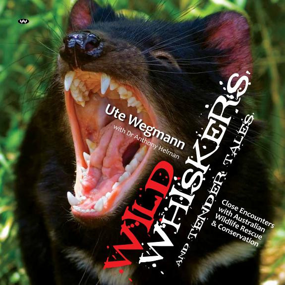 Cover of Wild Whiskers and Tender Tales