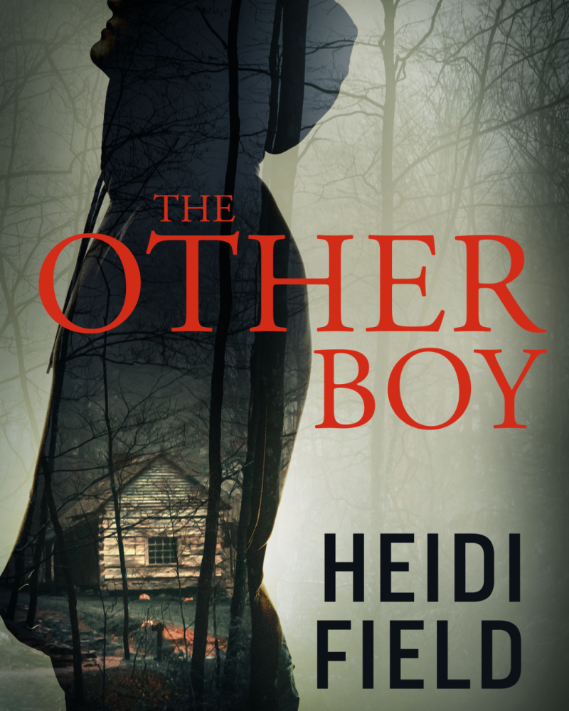 Book cover for The Other Boy by Heidi Field, featuring a dark silhouetted figure against a misty woodland, with a remote cabin visible through the trees.