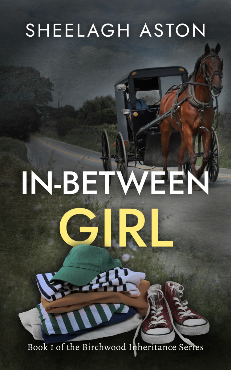 Pile of casual girls cloths and trainers in foreground with horse and buggy on road in the background.