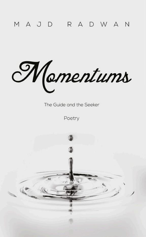 Cover of Momentums: The guide and the seeker