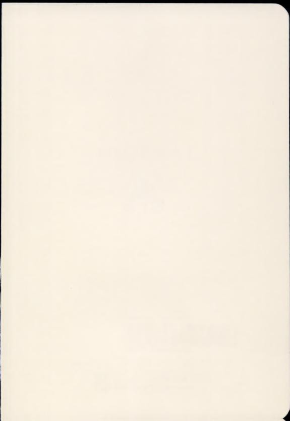 Cover of Shadow Tapestry