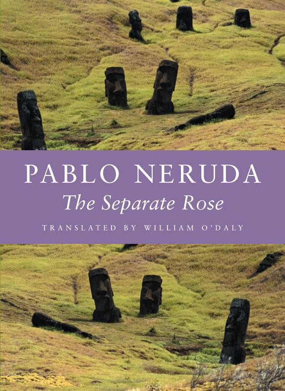 Cover of Rosa Separada