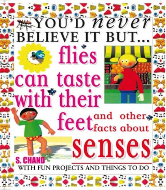 Cover of Flies Can