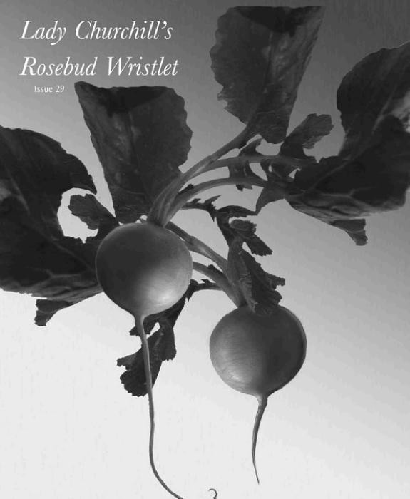 Cover of Lady Churchill's Rosebud Wristlet No. 29