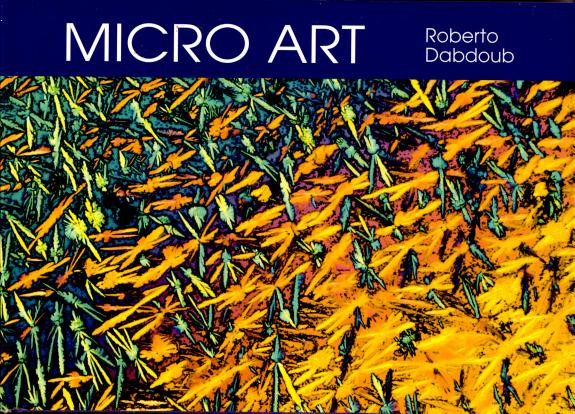 Cover of Micro Art